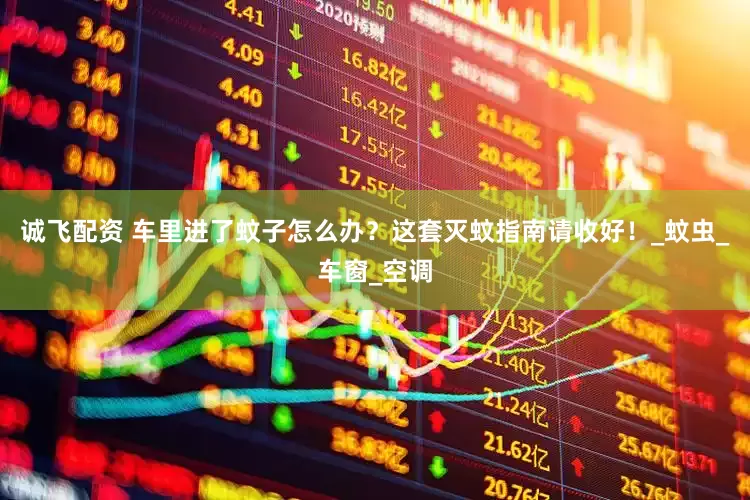 诚飞配资 车里进了蚊子怎么办？这套灭蚊指南请收好！_蚊虫_车窗_空调
