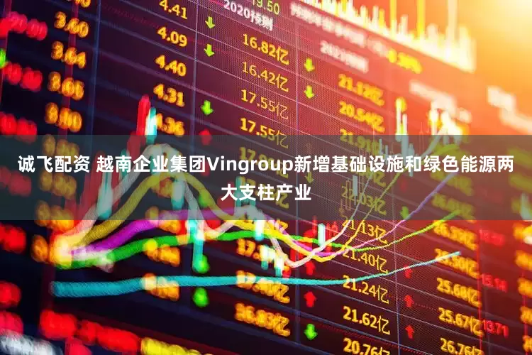 诚飞配资 越南企业集团Vingroup新增基础设施和绿色能源两大支柱产业